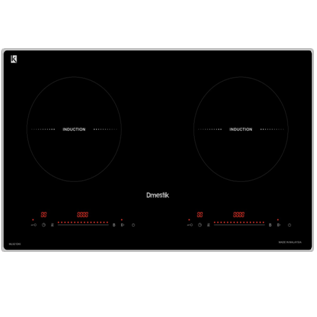 Bếp từ D'MESTIK TL921DKI