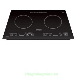 Bếp từ Mastercook MC 266 T