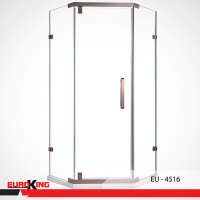 Phòng Tắm Vách Kính EuroKing EU-4516